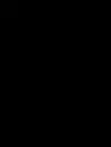 Nil Etek 